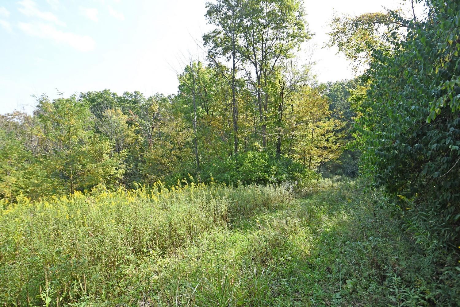0 Old St Road Brookville, IN 47012 - Photo 13 of 19 Gallery Image 13