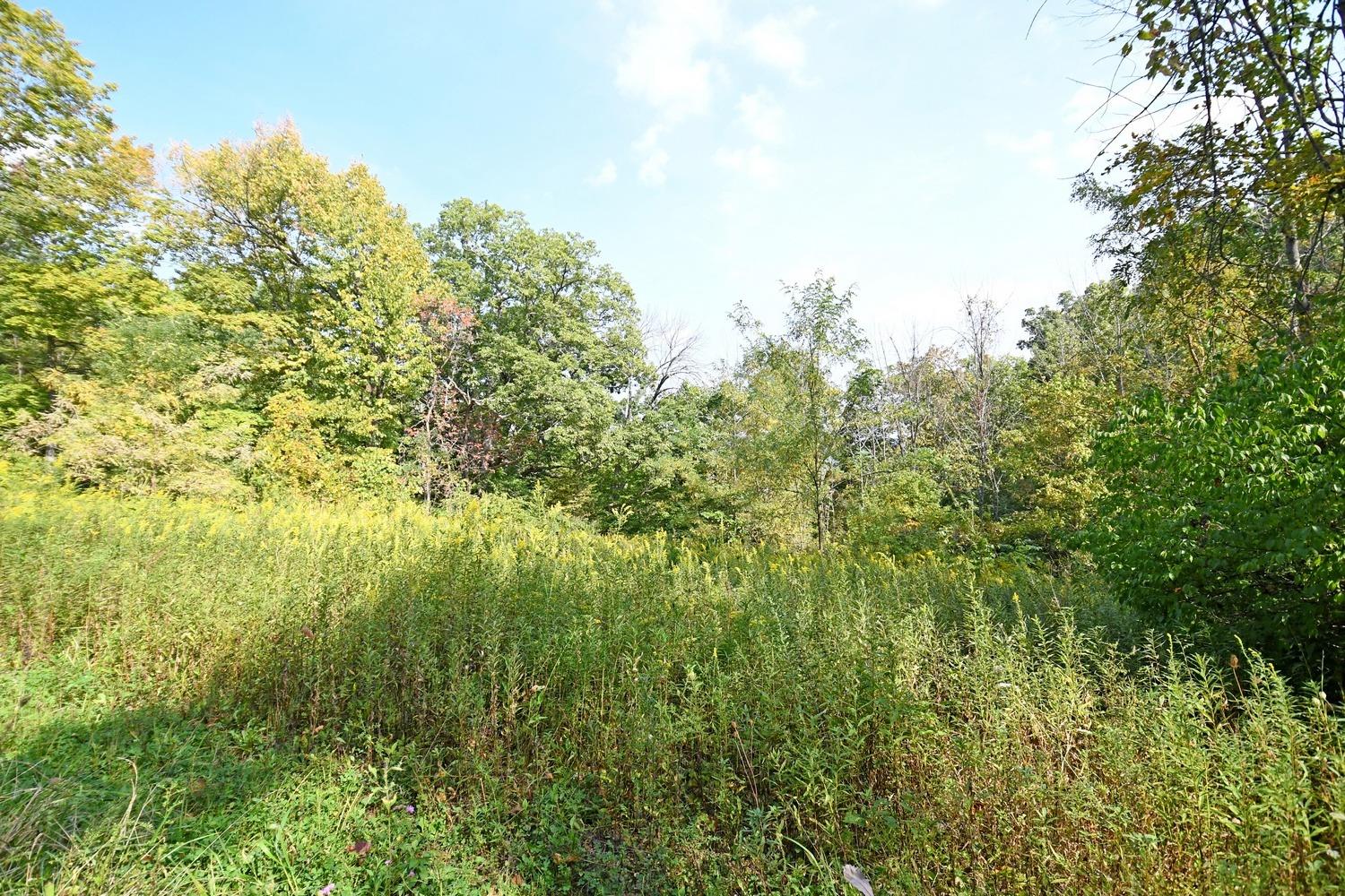 0 Old St Road Brookville, IN 47012 - Photo 15 of 19 Gallery Image 15