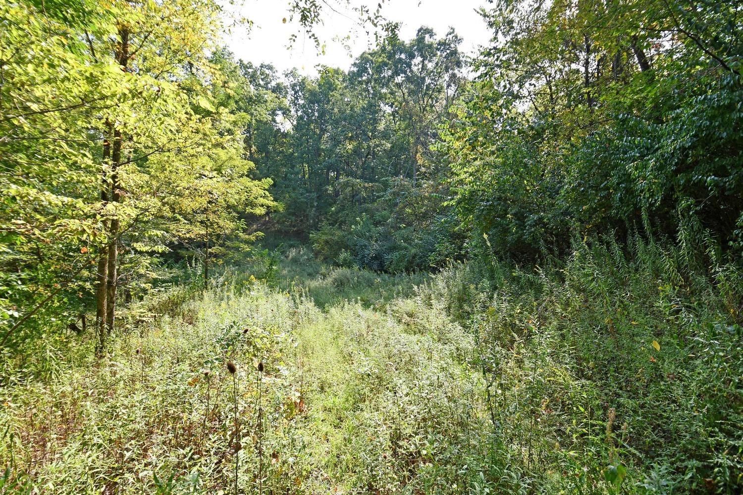 0 Old St Road Brookville, IN 47012 - Photo 17 of 19 Gallery Image 17