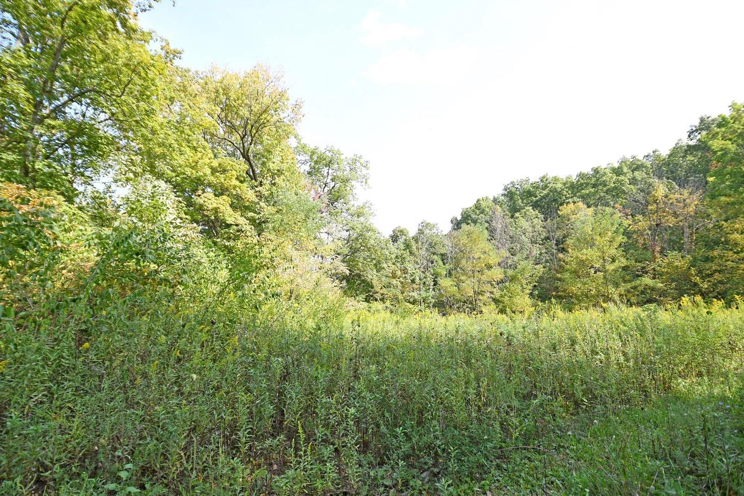 0 Old St Road Brookville, IN 47012 - Photo 8 of 19 Gallery Image 8