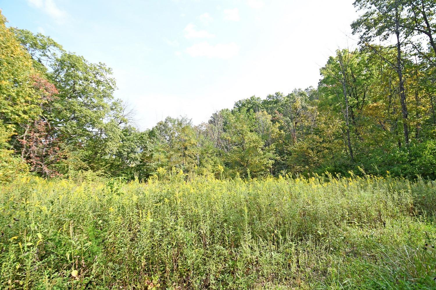 0 Old St Road Brookville, IN 47012 - Photo 10 of 19 Gallery Image 10