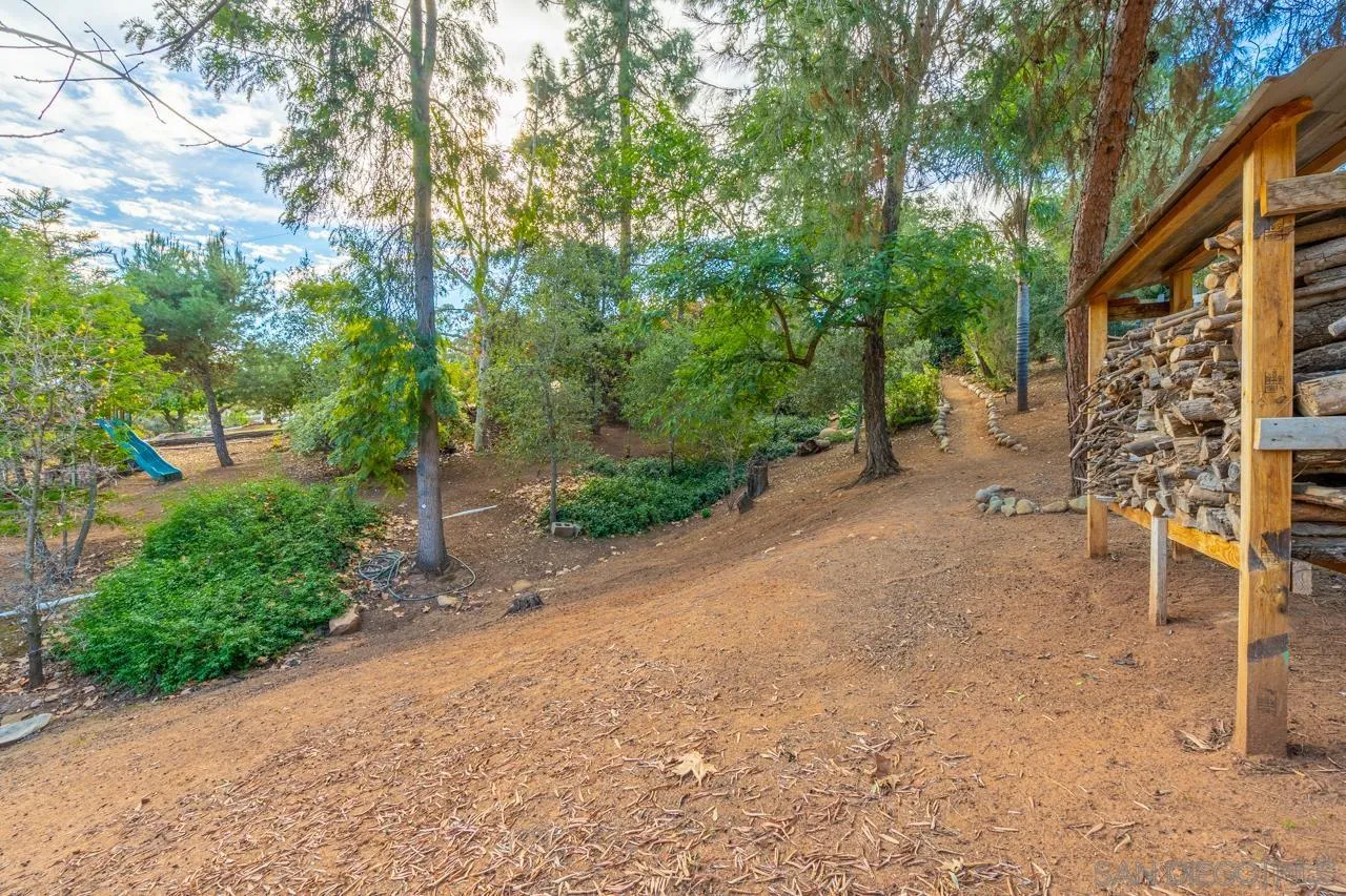 11116 Morning Dove Road Lakeside, CA 92040 - Photo 37 of 60 a view of a yard with plants and trees