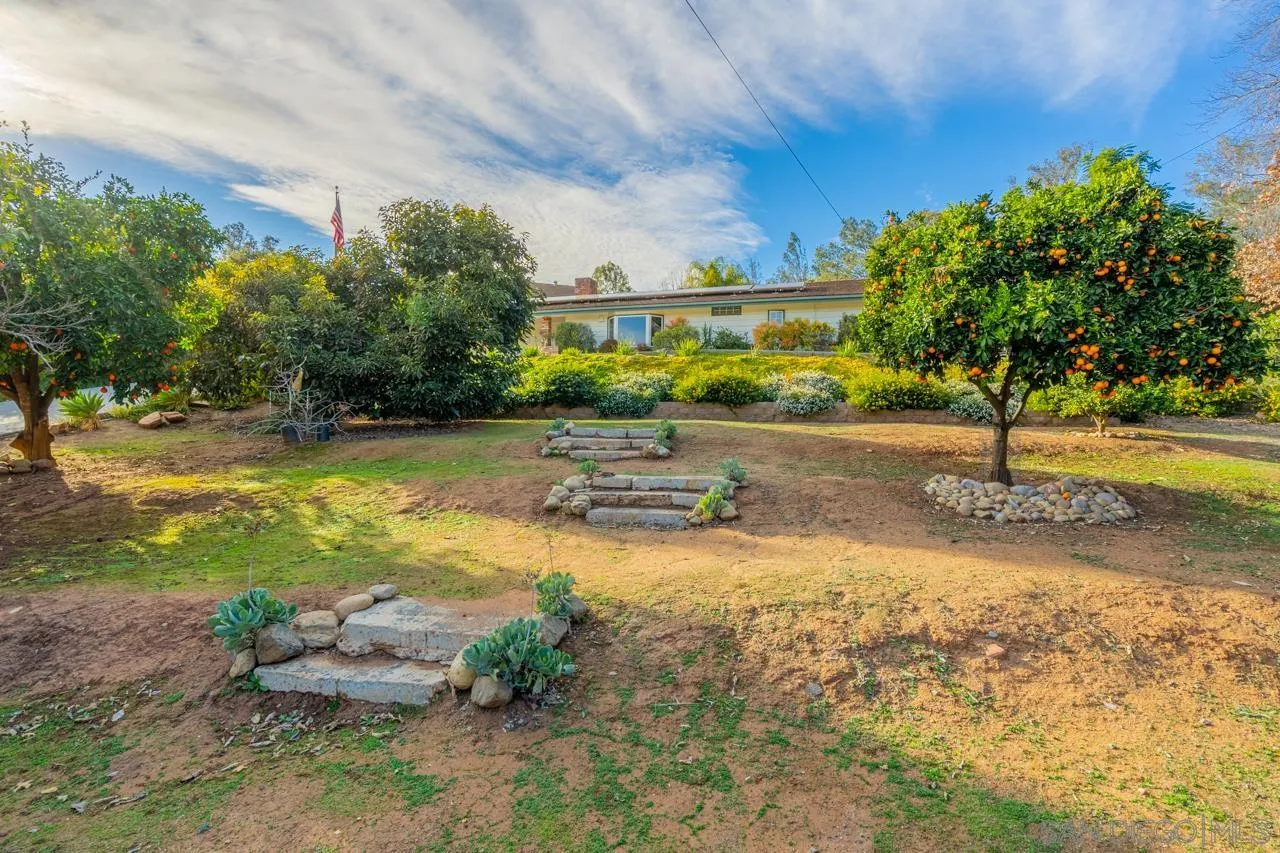 11116 Morning Dove Road Lakeside, CA 92040 - Photo 45 of 60 a view of yard with swimming pool and trees in the background
