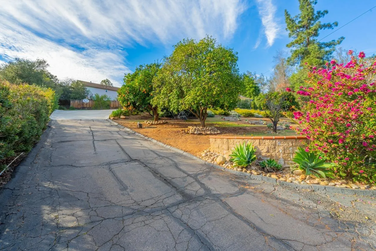 11116 Morning Dove Road Lakeside, CA 92040 - Photo 51 of 60 a view of backyard with outdoor space