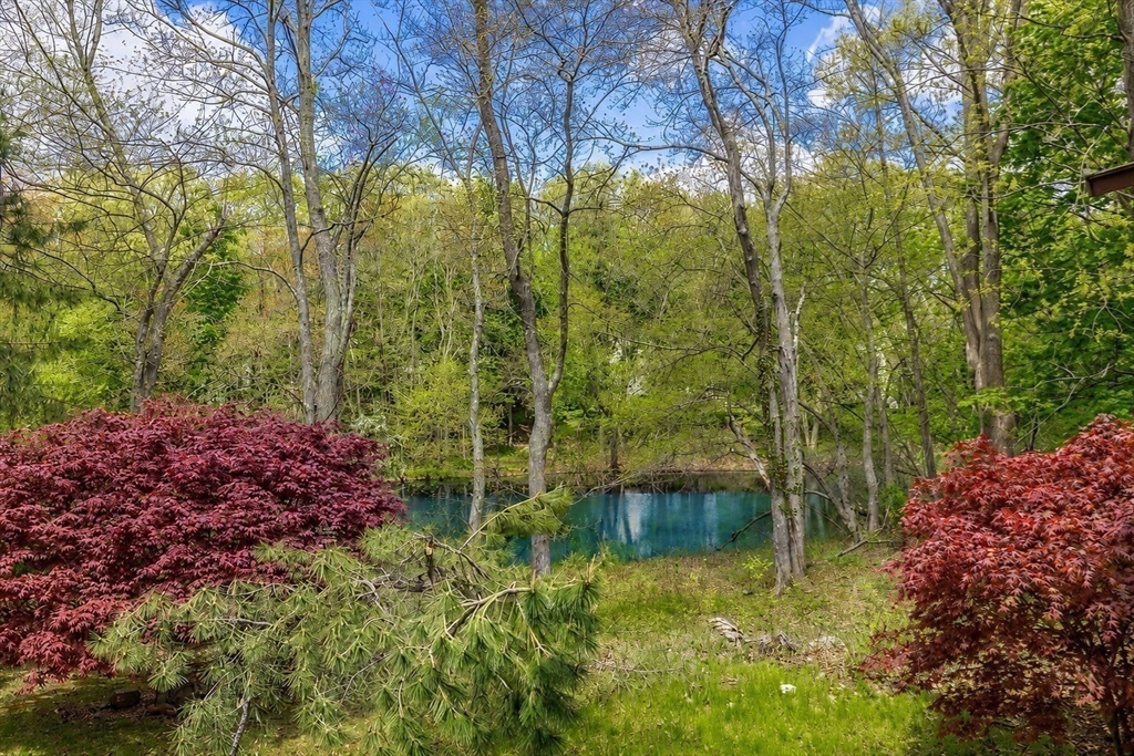 58 Solomon Pierce Road Lexington, MA 02420 - Photo 3 of 38