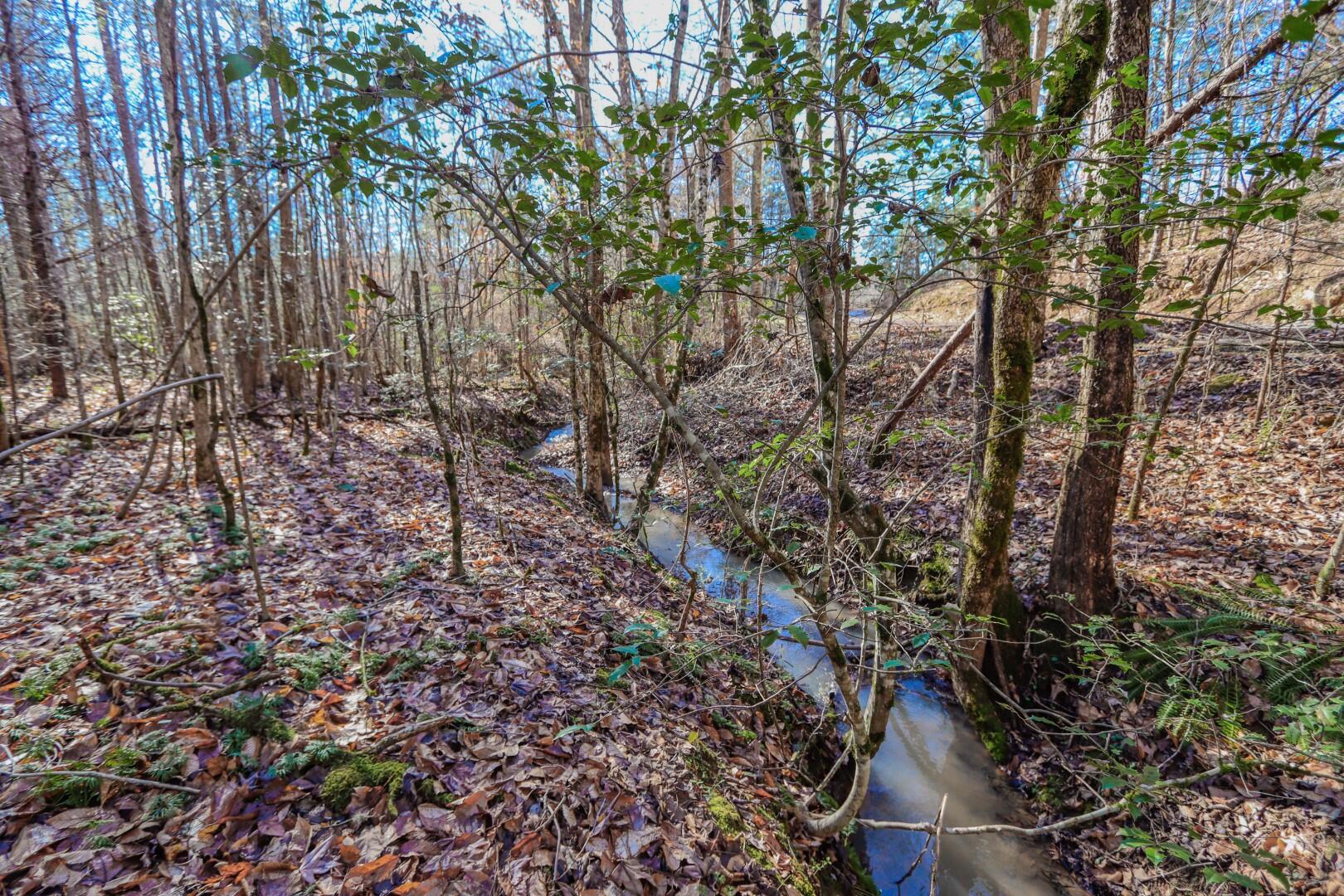 472 Highway 107, Unit 35D Del Rio, TN 37727 - Photo 14 of 40 13.6