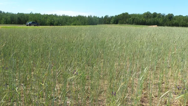 $23,900 | Lot 11 Red Maple Lane, Siren, WI 54872