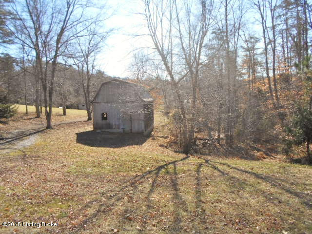 3200 Patton Road Boston, KY 40107 - Photo 26 of 36 Privacy galore