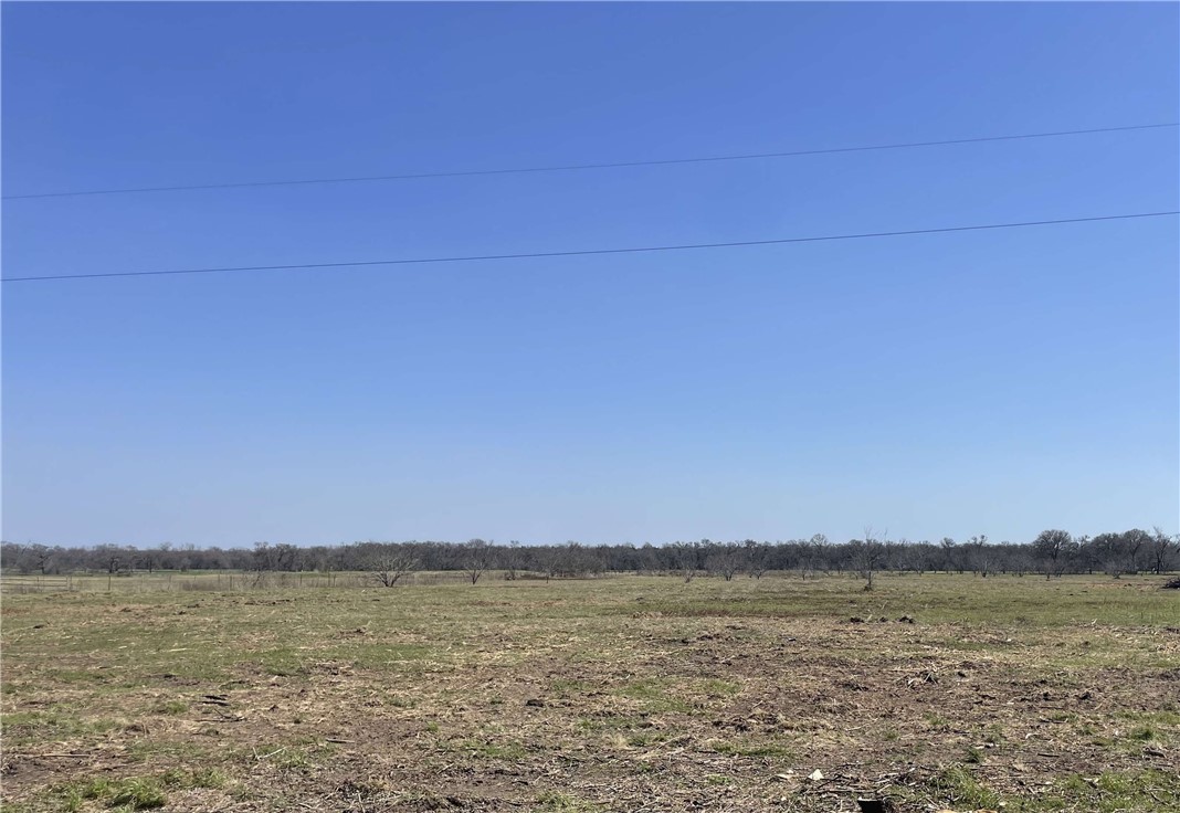 243 Hwy 7 Road West Kosse, TX 76653 - Photo 2 of 11