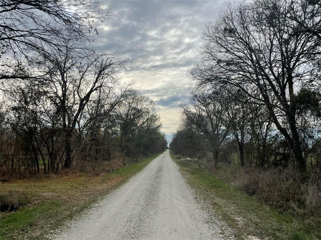 243 Hwy 7 Road West Kosse, TX 76653 - Photo 10 of 11 a view of a forest with trees in the background