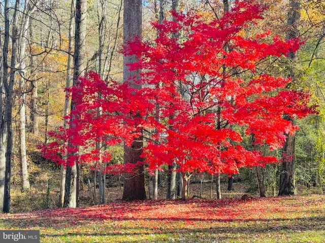 $1,250,000 | 2201 Nobehar Drive, Vienna, VA 22181