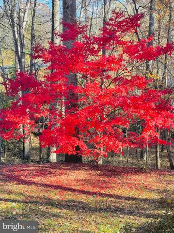 $1,250,000 | 2201 Nobehar Drive, Vienna, VA 22181