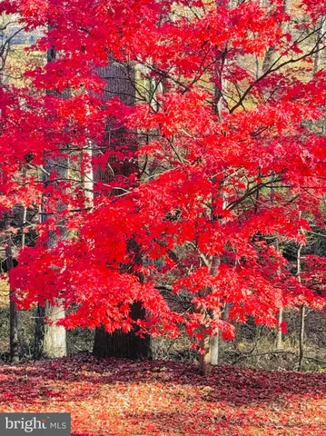 $1,250,000 | 2201 Nobehar Drive, Vienna, VA 22181