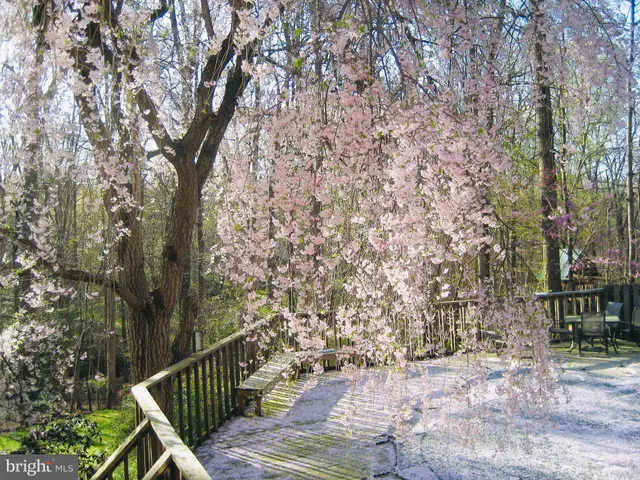 $1,225,000 | 2201 Nobehar Drive, Vienna, VA 22181