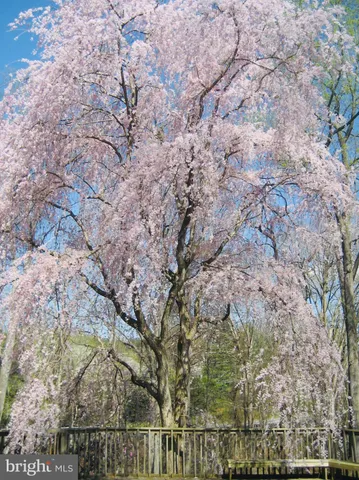 $1,225,000 | 2201 Nobehar Drive, Vienna, VA 22181