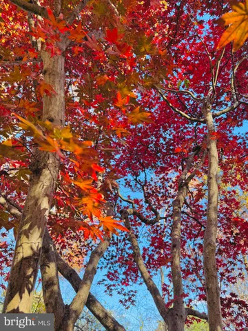 $1,225,000 | 2201 Nobehar Drive, Vienna, VA 22181