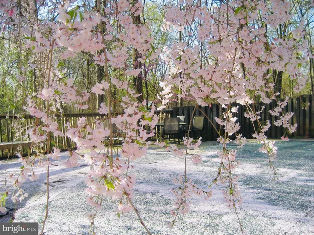 $1,250,000 | 2201 Nobehar Drive, Vienna, VA 22181