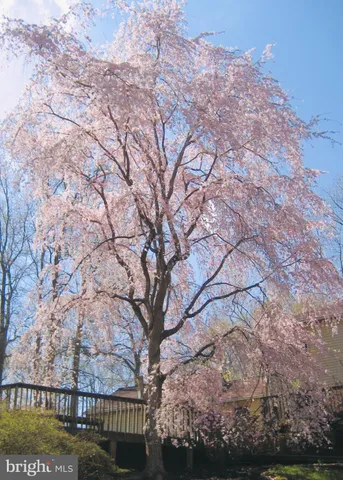 $1,250,000 | 2201 Nobehar Drive, Vienna, VA 22181