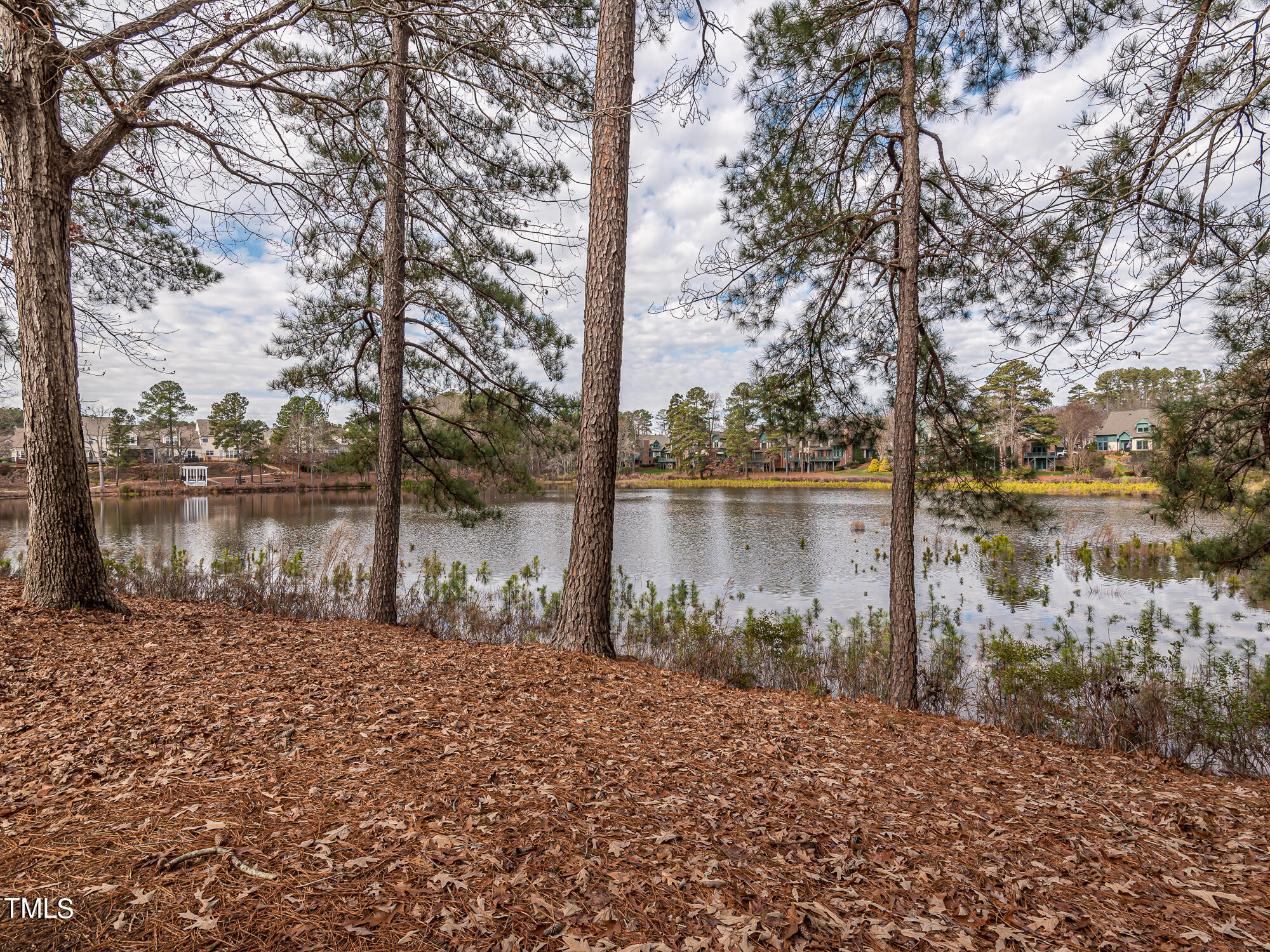 8041 Allyns Landing Way, Unit 103 Raleigh, NC 27615 - Photo 30 of 33 InTrust_Realty_Lee_8041_Allyns_Landing-0