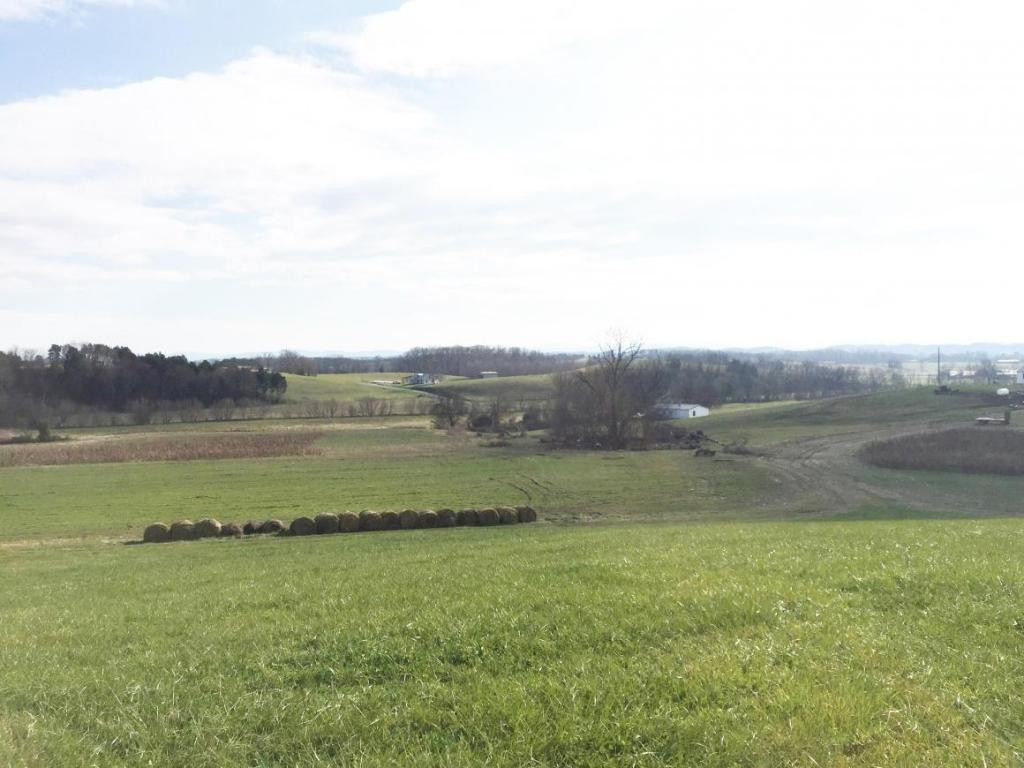 700 Tom Lawson Road Mohawk, TN 37810 - Photo 11 of 16 Photo 11