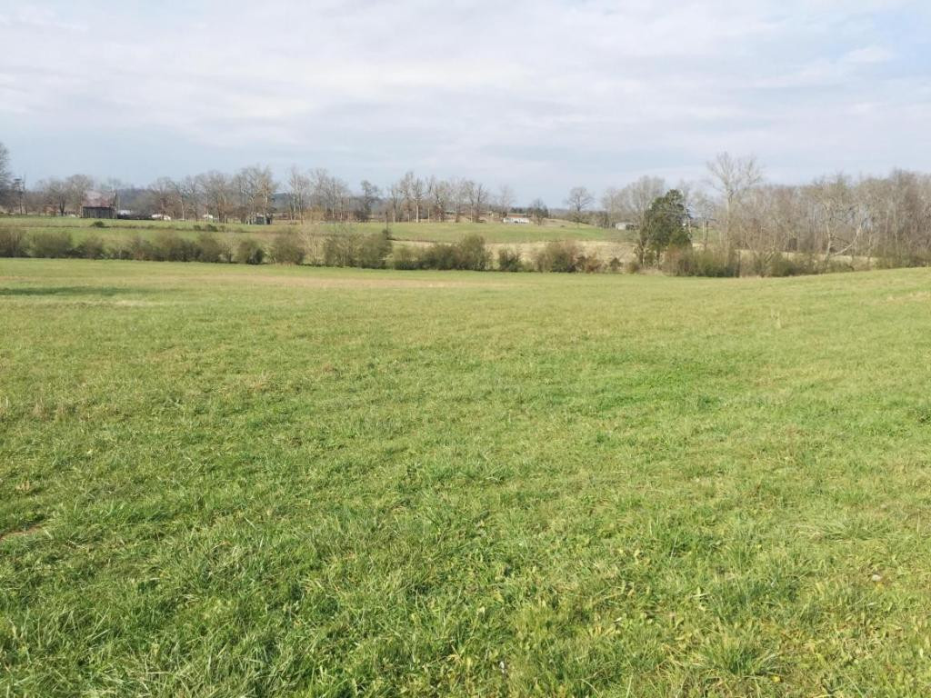 700 Tom Lawson Road Mohawk, TN 37810 - Photo 3 of 16 Photo 3