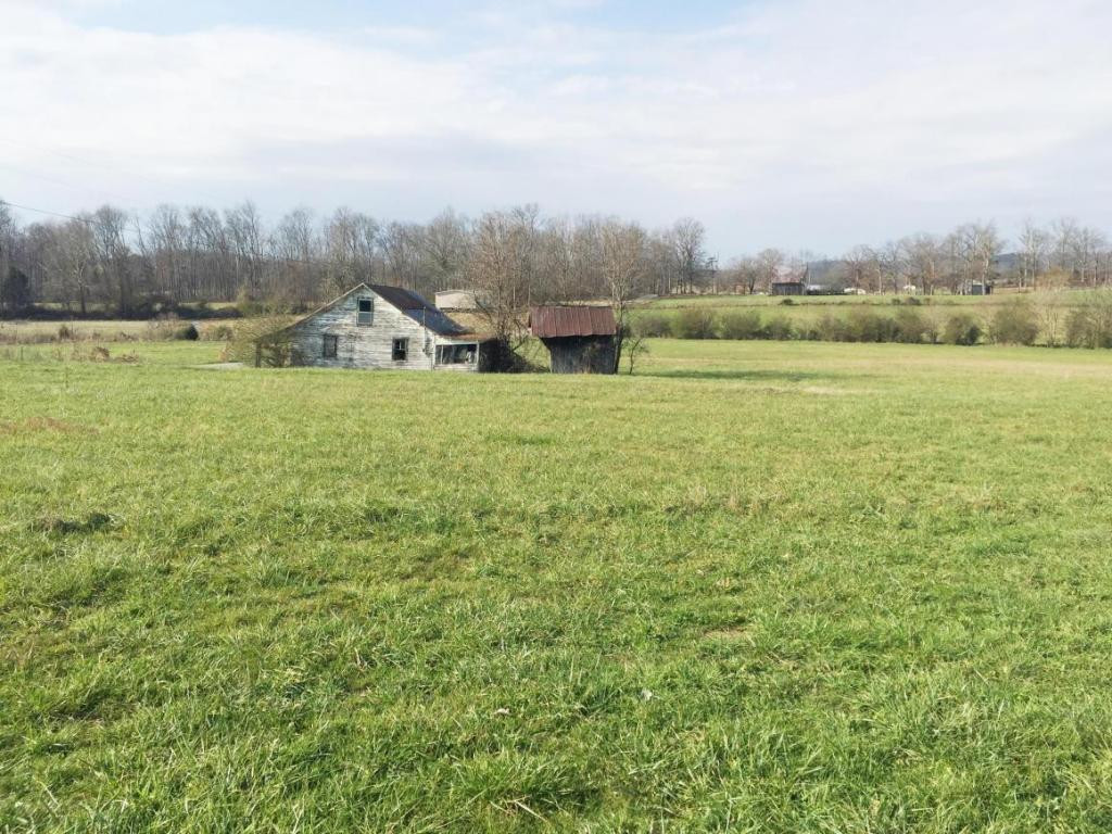 700 Tom Lawson Road Mohawk, TN 37810 - Photo 4 of 16 Photo 4
