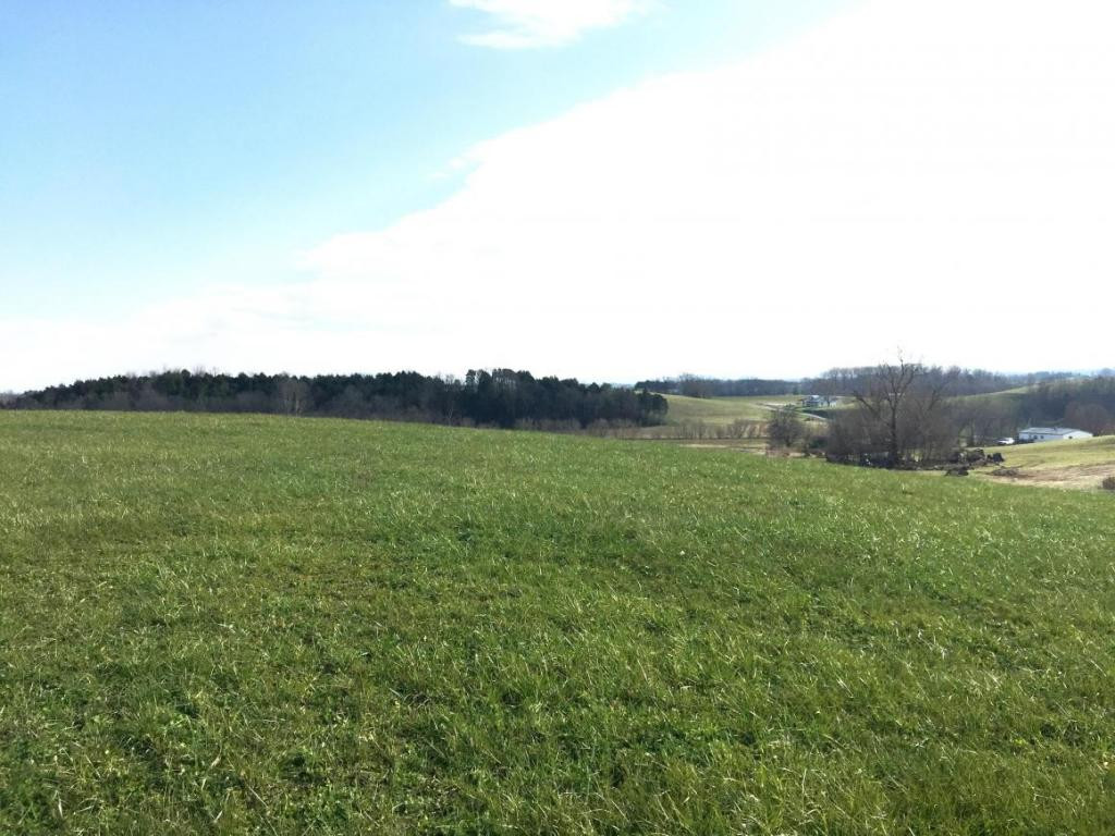 700 Tom Lawson Road Mohawk, TN 37810 - Photo 7 of 16 Photo 7