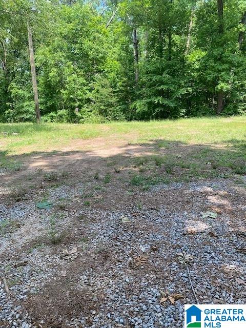 65 Oak Tree Street Cropwell, AL 35054 - Photo 41 of 50