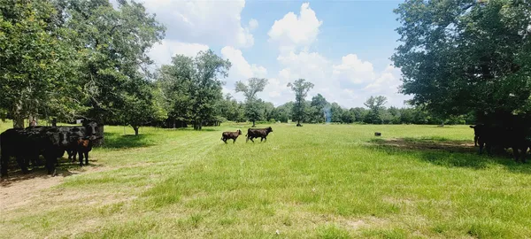 $1,600,000 | 3321 County Road 457, Thorndale, TX 76577