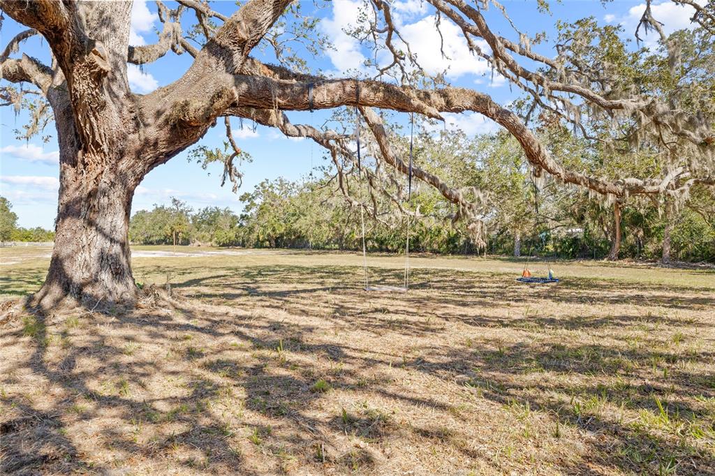2312 West Shell Point Road Ruskin, FL 33570 - Photo 16 of 43 a view of a yard