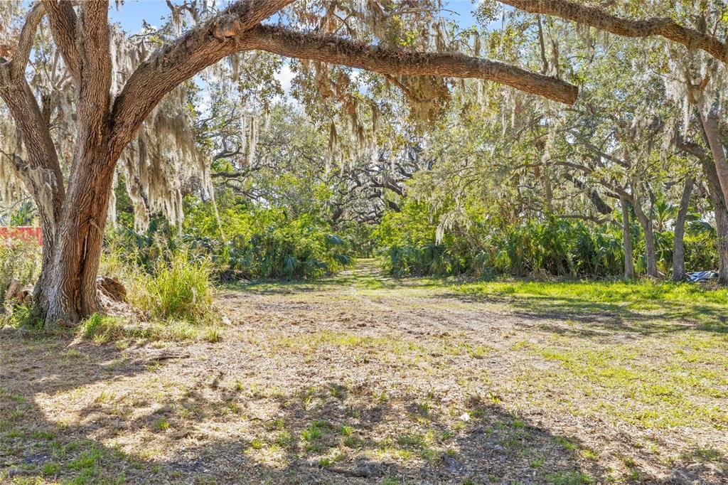 2312 West Shell Point Road Ruskin, FL 33570 - Photo 17 of 43 a view of a yard with a tree