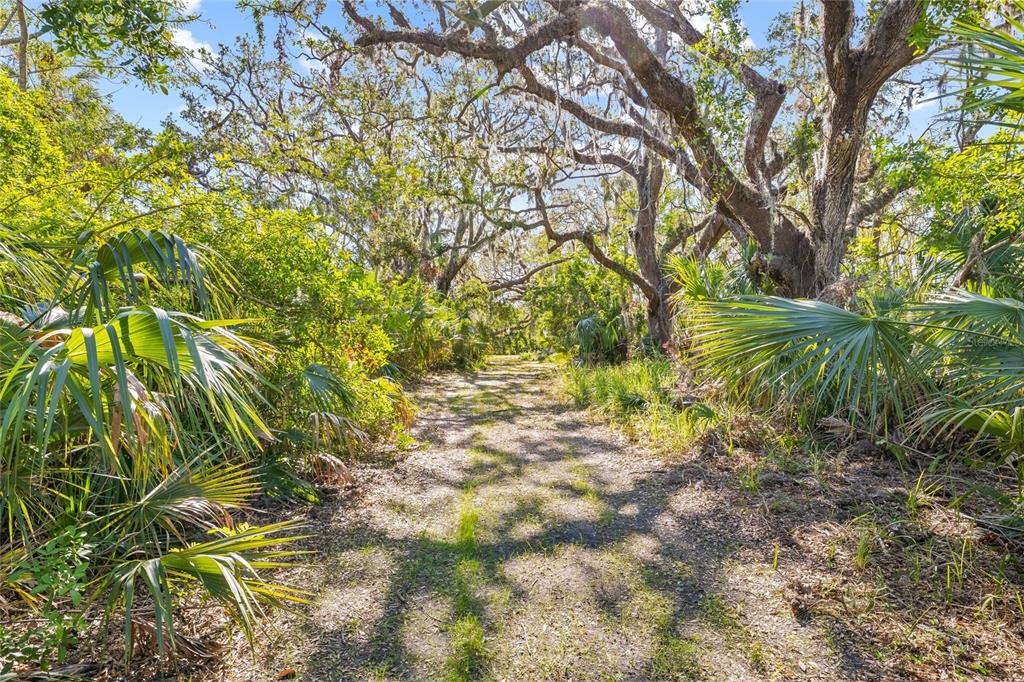 2312 West Shell Point Road Ruskin, FL 33570 - Photo 22 of 43 a backyard of a house with lots of green space