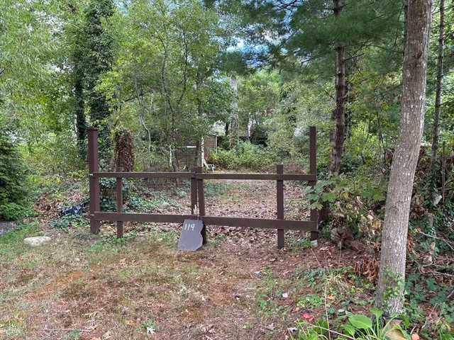 a view of park with trees