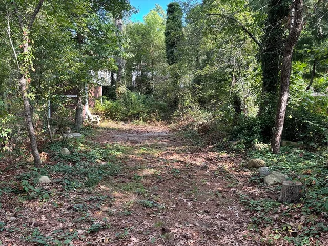 a view of outdoor space and trees