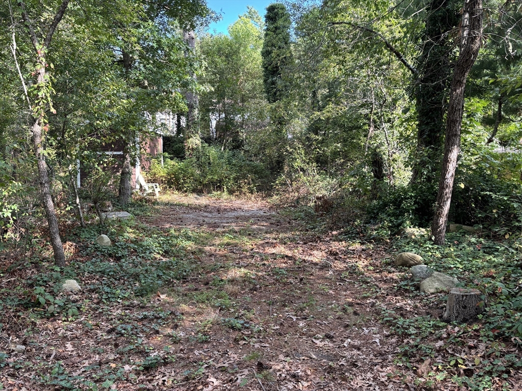 119 Lake Avenue Wareham, MA 02538 - Photo 3 of 11 a view of outdoor space and trees