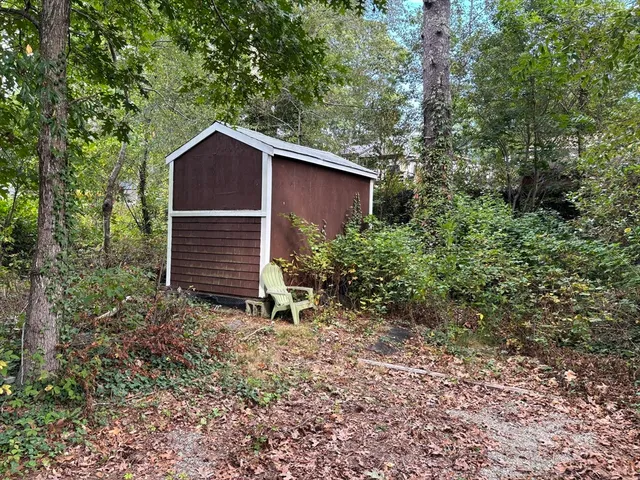 a backyard of a house with plants and large tree