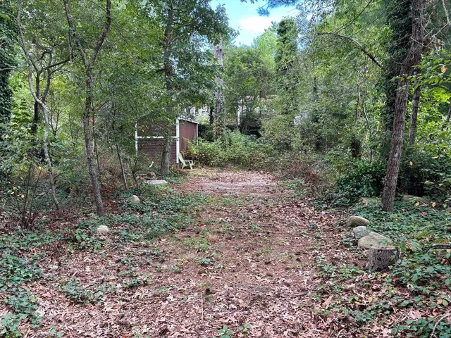 a big yard with lots of green space and deers