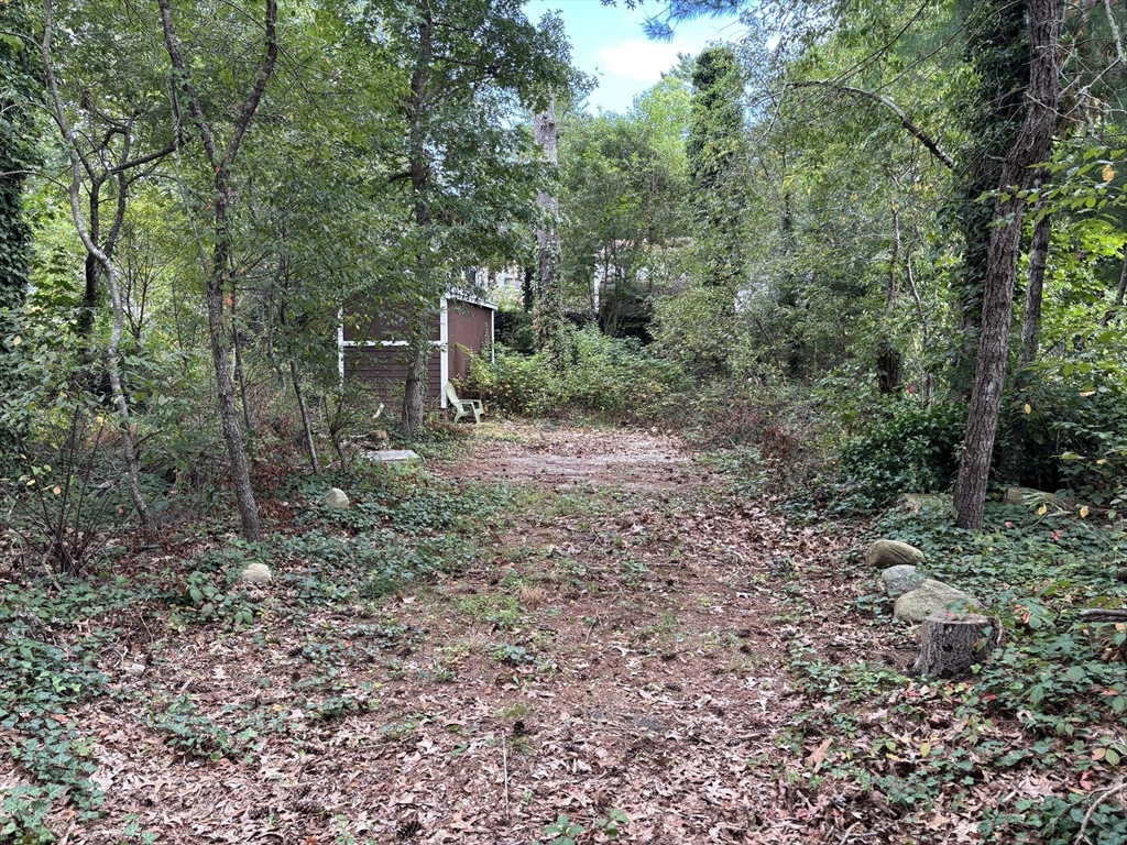 119 Lake Avenue Wareham, MA 02538 - Photo 8 of 11 a big yard with lots of green space and deers