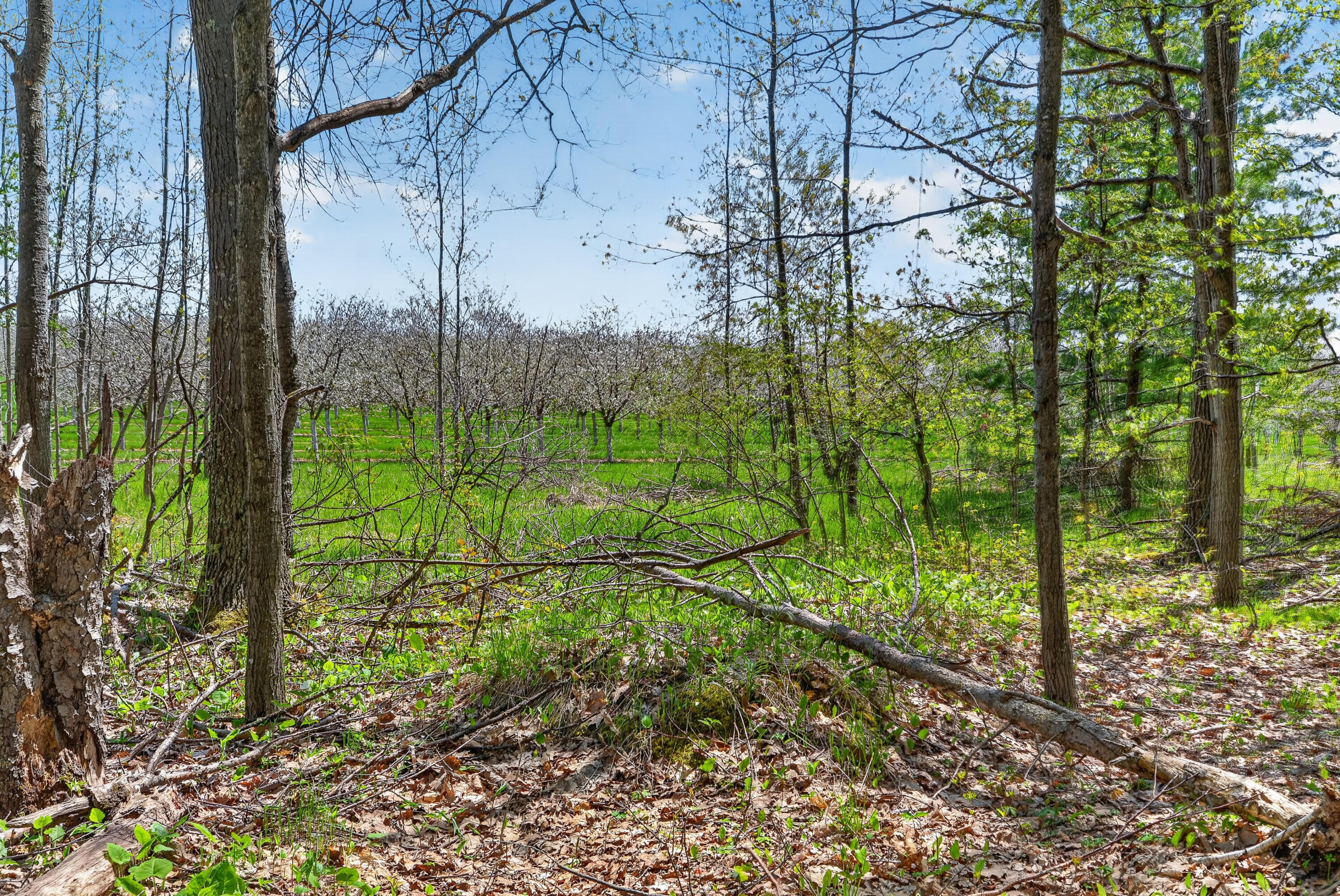 Parcel Old Orch Road, Unit 180221322812D Ellison Bay, WI 54210 - Photo 15 of 16 G - 7