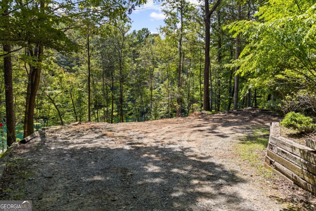 44-45 Overlook Drive Blue Ridge, GA 30513 - Photo 14 of 27 Gallery Image 14