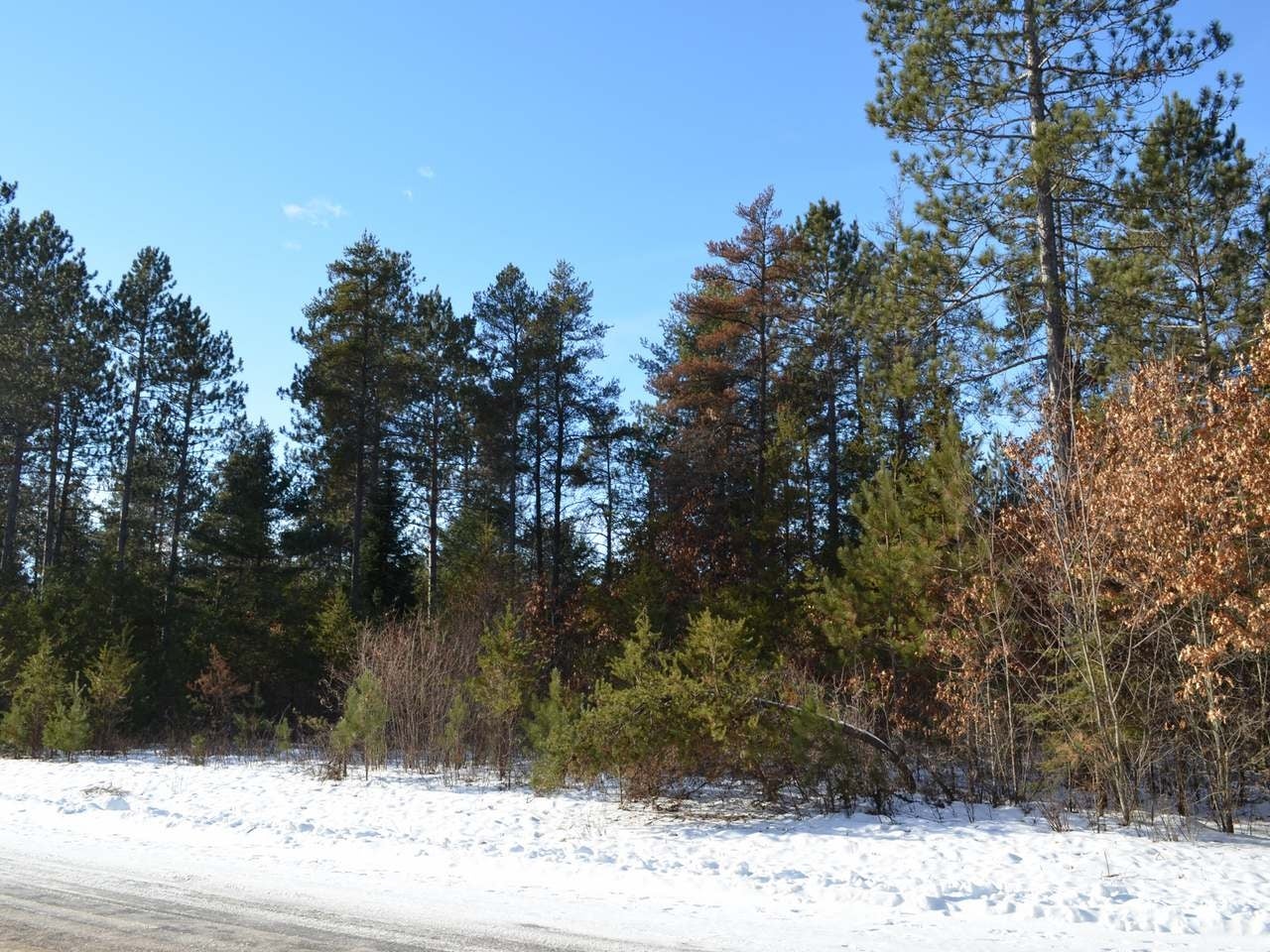 14 Ralph Lane Tomahawk, WI 54487 - Photo 4 of 9 Gallery Image 4