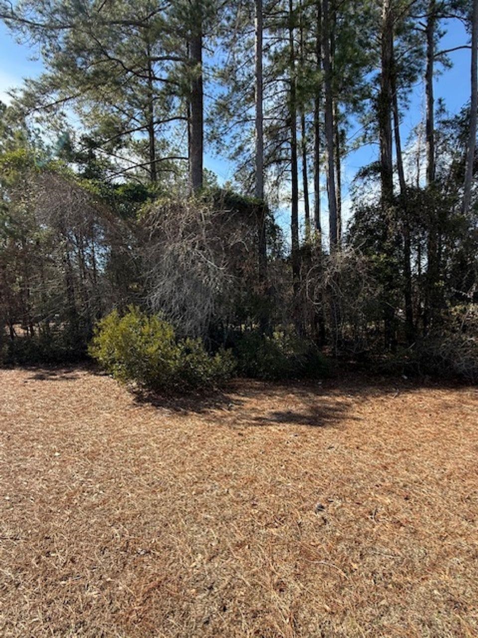 2001 Spring Valley Court Loris, SC 29569 - Photo 2 of 4