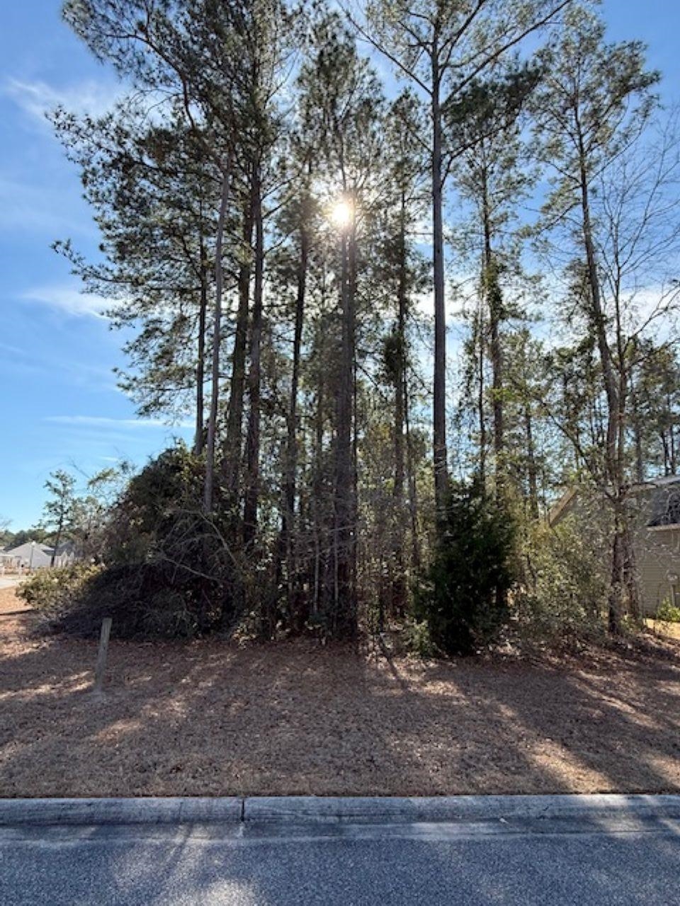 2001 Spring Valley Court Loris, SC 29569 - Photo 4 of 4