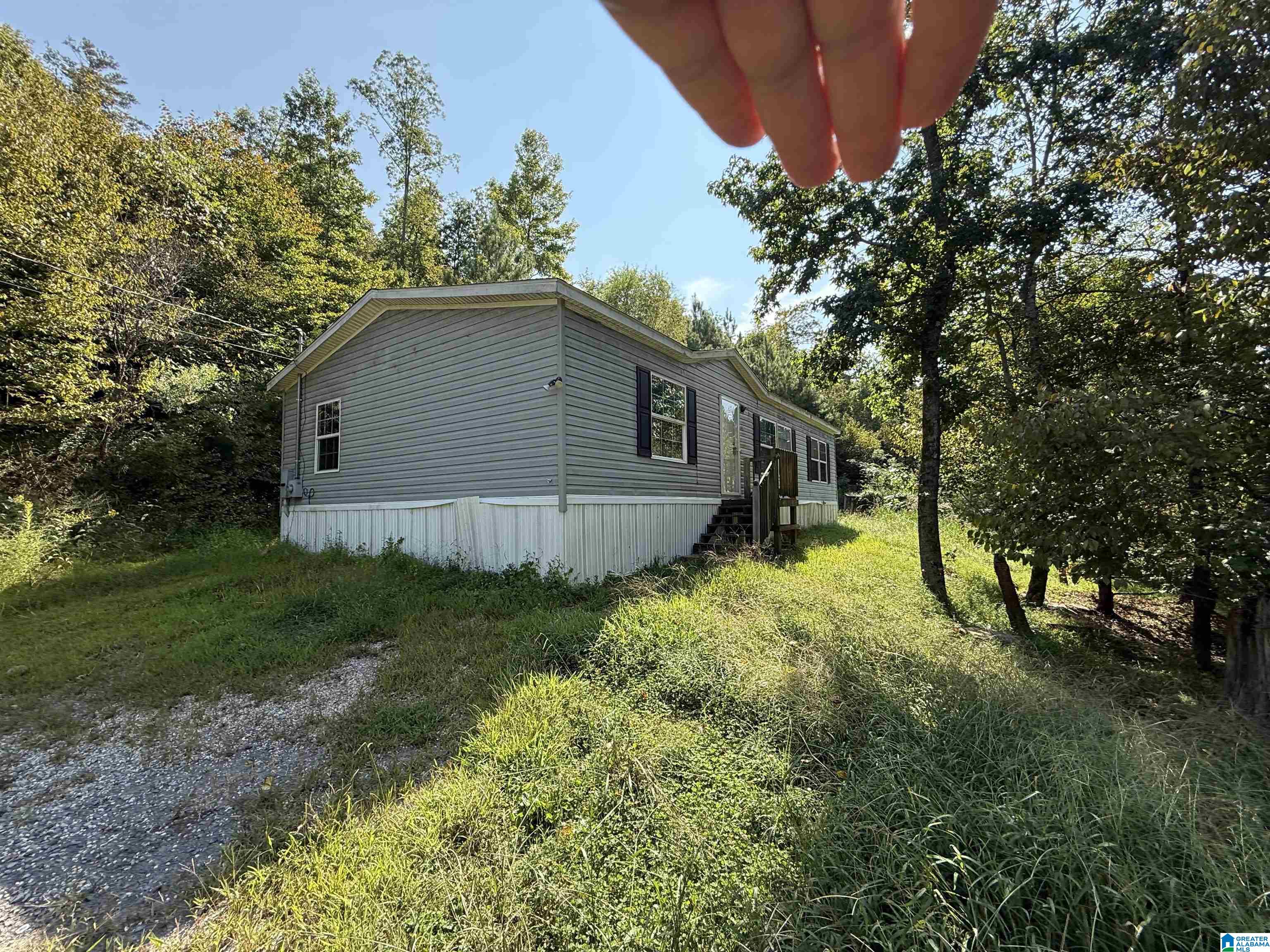 3887 County Road 27 Oneonta, AL 35121 - Photo 2 of 11