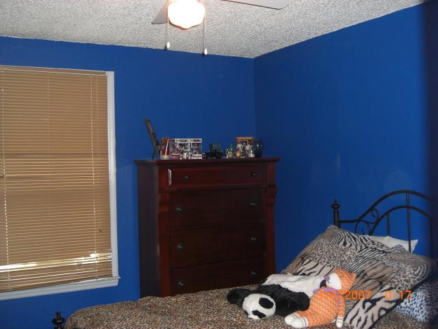 102 Grapevine Road Hendersonville, TN 37075 - Photo 10 of 14 BEDROOM WITH LIVELY COLOR