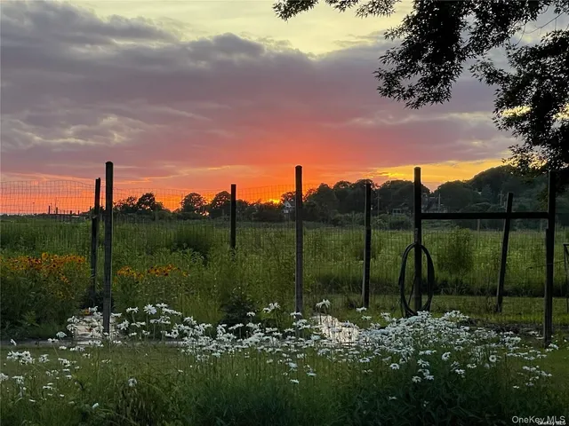 a view of a lake with a tree in the background