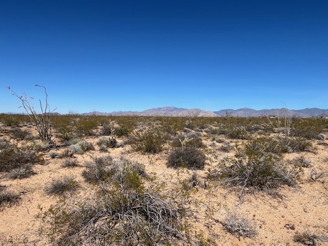 207-17-166a Cherry Road Yucca, AZ 86438 - Photo 10 of 15