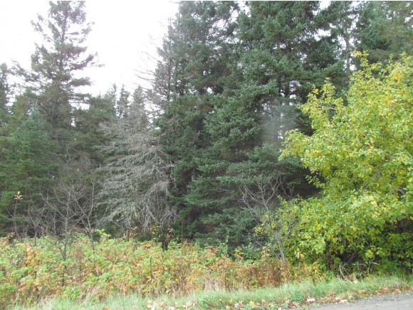 - East Colebrook Road Colebrook, NH 03576 - Photo 2 of 7