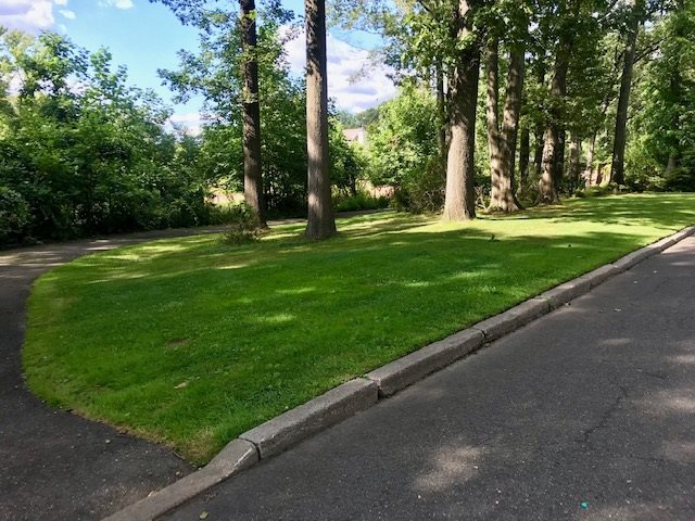 490 Highview Road Englewood, NJ 07631 - Photo 2 of 15 a view of a park with large trees