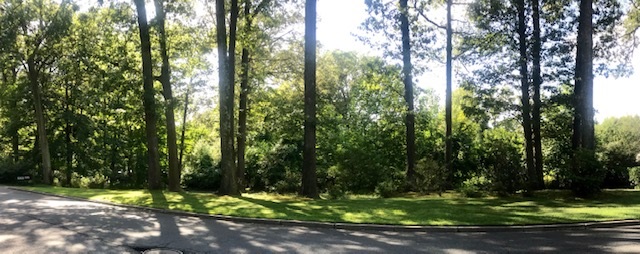 490 Highview Road Englewood, NJ 07631 - Photo 11 of 15 a view of a trees in a yard